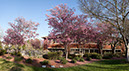 %_tempFileName33pcnt_crop_12_RAW_TIFF_Feb_22_violet_pano,%20RAW_12_TIF,%2060%20images,%20FA0A7592%20-%20FA0A7839%20-%2028546x15648%20-%20SS6N-Smartblend%