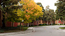 %_tempFileNamepanoramio_IMG_5625%20-%20IMG_5637_planar_crop_16_9_pano10%